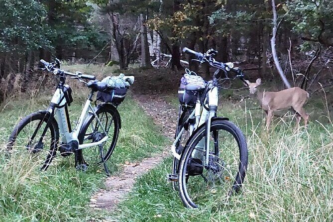 Guided Ebike Tour of Acadia National Park Carriage Roads - Final Thoughts