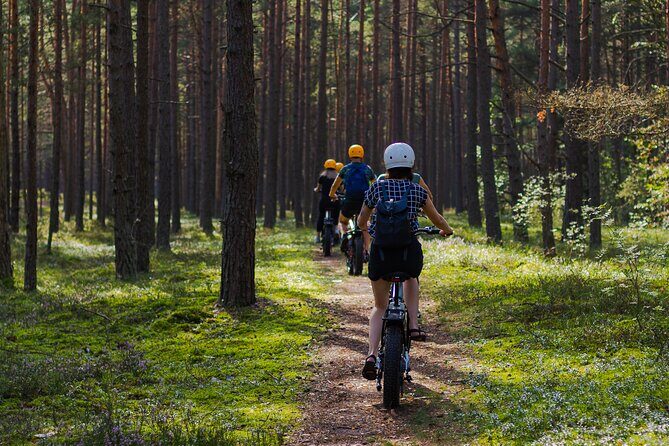 Guided Ebike Tour on Forest Roads and Trails Near Riga - A Closer Look at the Ebike Tour Near Riga
