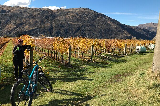 Guided eBike Wine Tour Ride to the Vines - Practical Tips for Booking