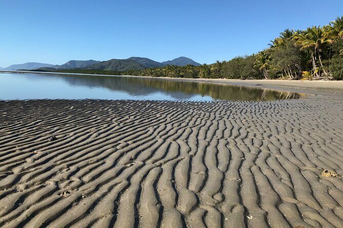 Guided Eco Segway Tours Four Mile Beach Port Douglas - Who Is This Tour Best For?
