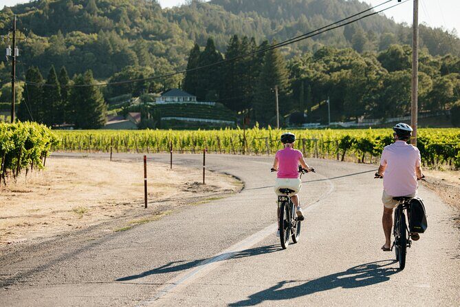 Guided Electric Bike Wine Tour Through Sonoma County - Key Points