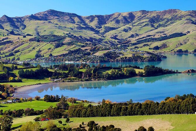 Guided Electric Mountain Bike Tour- Akaroa Explorer - Final Thoughts: Who Should Book This?
