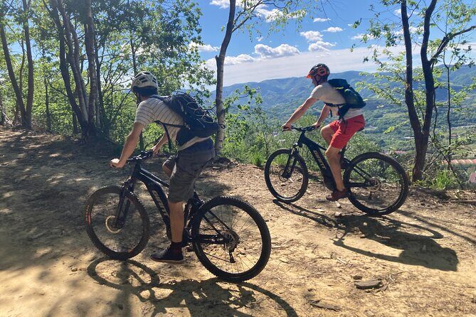 Guided Electric Mountain Bike Tour in Gipuzkoa - Who Should Book This Tour?