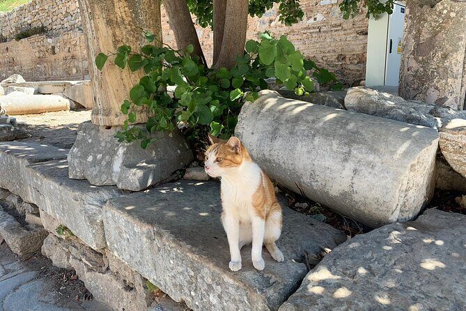 Guided Ephesus Tour From/to Izmir - The Sum Up: Who Should Consider This Tour?
