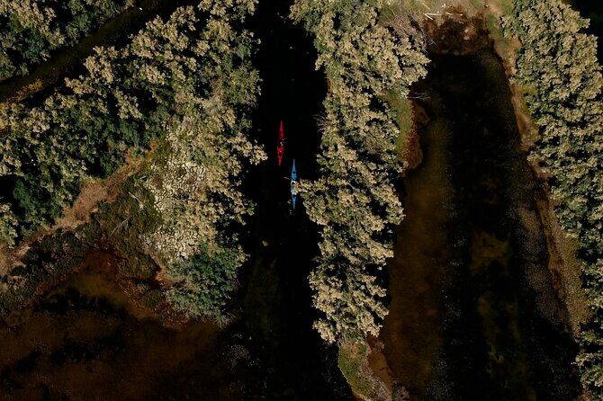 Guided excursion for small groups by kayak in Valle da Pesca - Key Points
