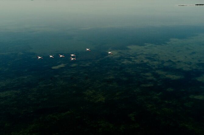 Guided excursion for small groups by kayak in Valle da Pesca - Who Should Consider This Tour?