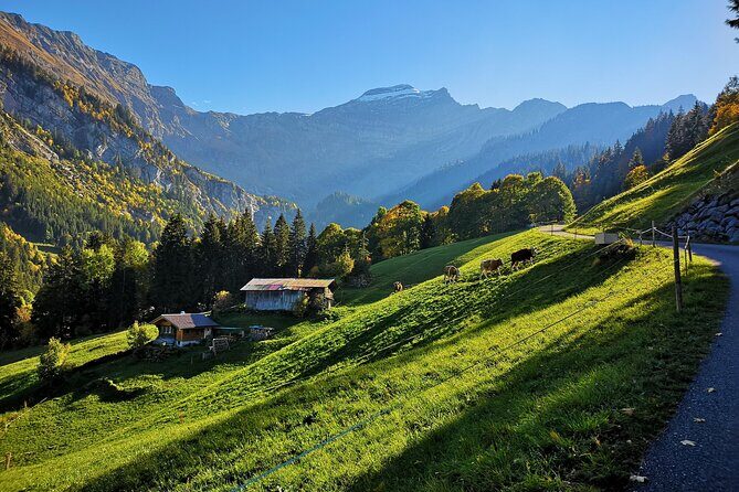 Guided Excursion to Jungfraujoch, Grindelwald and Lauterbrunnen from Lucerne - Frequently Asked Questions