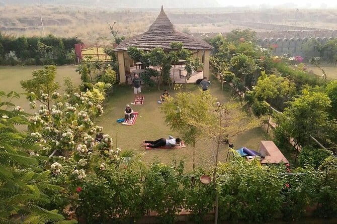 Guided Exotic Hiking, Yoga with Village Tour near Amber Fort - The Sum Up