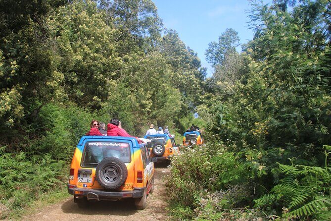 Guided Exploration of Southwest Madeira in a 4x4 - A Deep Dive into the Madeira 4x4 Adventure
