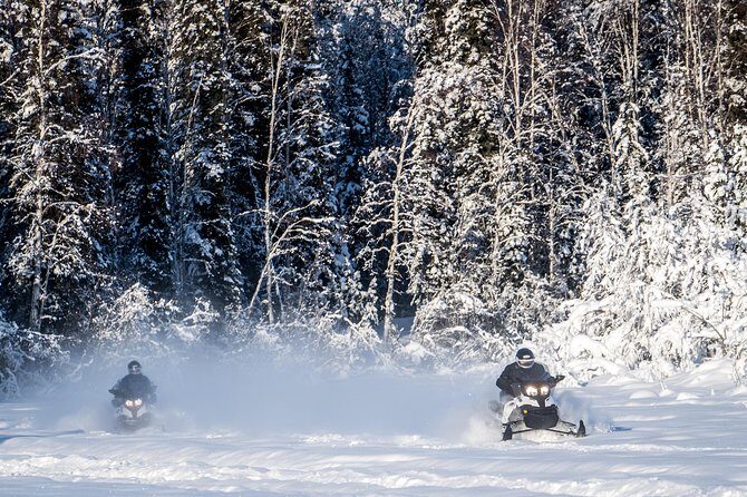 Guided Fairbanks Snowmobile Tour - An In-Depth Look at the Fairbanks Snowmobile Experience