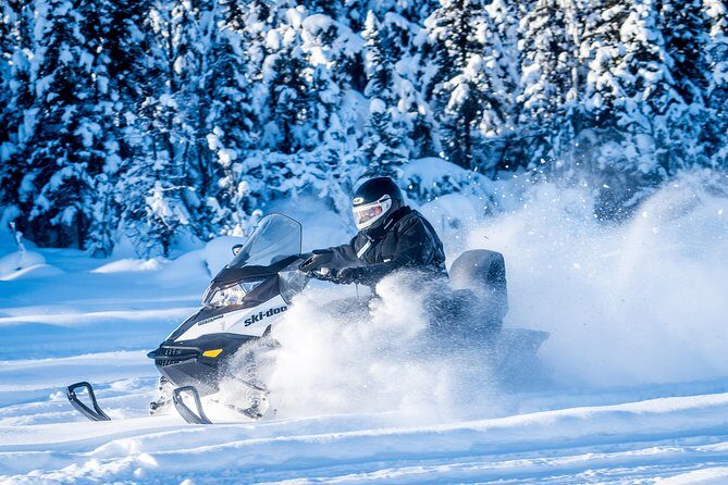 Guided Fairbanks Snowmobile Tour - Who Should Consider This Tour?