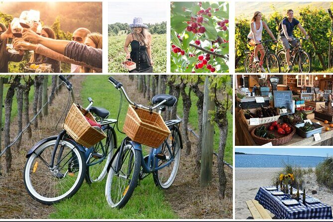 Guided Farm and Wine Country Bike Tour in Mattituck NY - Who Will Love This Tour?