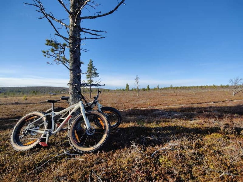 Guided Fatbike Tour in Ivalo - Frequently Asked Questions