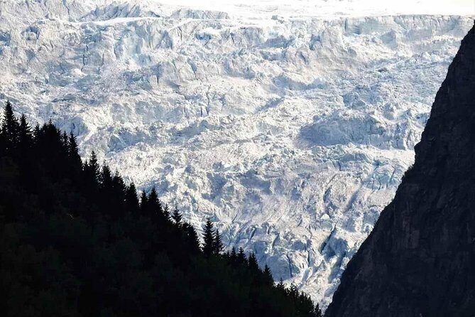 Guided Fjord & Glacier Tour - From BERGEN - Authentic Experiences and Authenticity