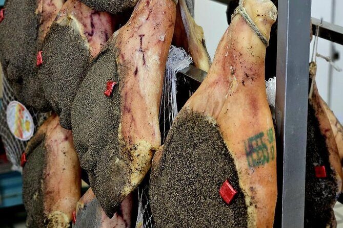 Guided Food Tour with Wine Tastings in Genoa - Who Will Love This Tour?