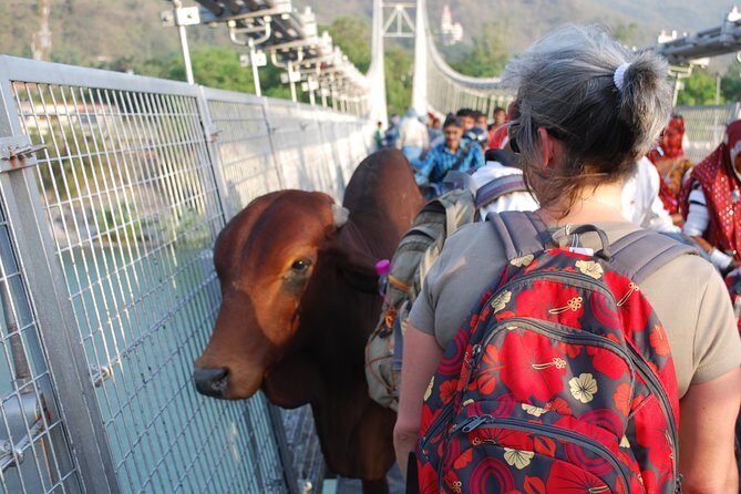 Guided Food Walking Tour in Rishikesh with a local - Best of Culture & History - Who Will Love This Tour?