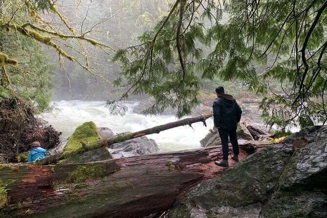 Guided forest hike to Seattle waterfalls incl. Snoqualmie Falls - Key Points