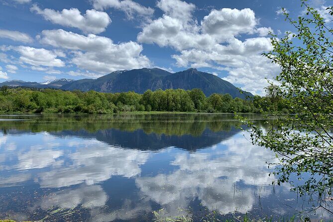 Guided forest hike to Seattle waterfalls incl. Snoqualmie Falls - Detailed Breakdown of the Itinerary