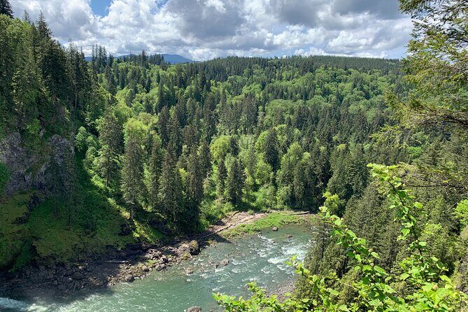 Guided forest hike to Seattle waterfalls incl. Snoqualmie Falls - Final Thoughts: Who Is This Tour Best For?