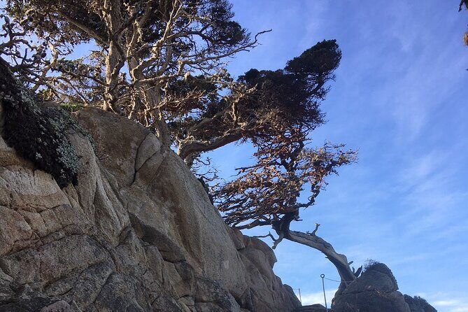 Guided full-day Big Sur hiking adventure with lunch - An In-Depth Look at the Big Sur Hiking Adventure