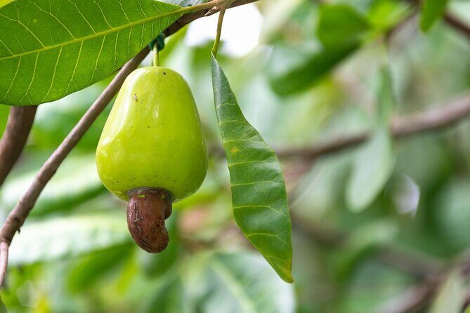 Guided Full Day Phuket Explorer including Lunch - Who Should Consider This Tour?