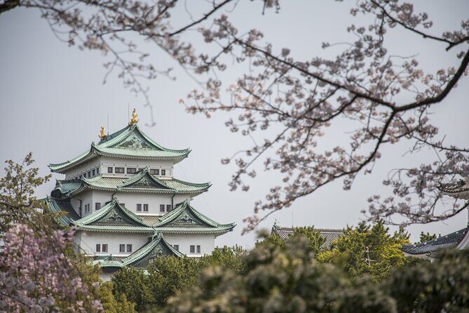 Guided Garden Walk: Nagoya Castle, Gardens & Historic Estate - Starting at Nagoya Station
