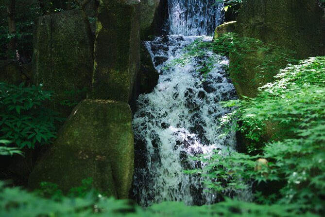 Guided Garden Walk: Nagoya Castle, Gardens & Historic Estate - The Cultural Path and Historic Villas