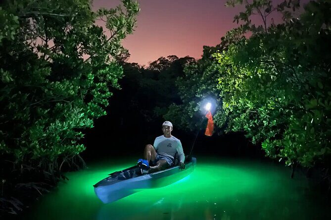 Guided Glow LED Kayak Sunset Activity in Bonita Springs - Why This Tour Stands Out