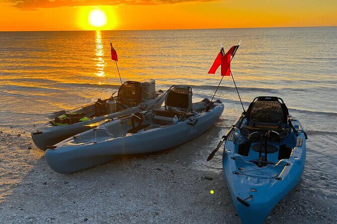 Guided Glow LED Kayak Sunset Activity in Bonita Springs - The Sum Up