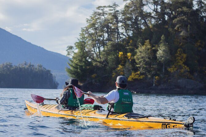 Guided Half Day Kayak Tour with Picnic in Villa la Angostura - A Comprehensive Look at the Guided Kayak Experience