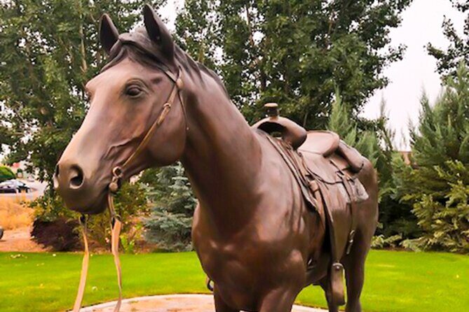 Guided Half-Day Scenic Tour - Off The Beaten Path - Key Points