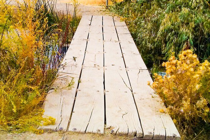 Guided Half-Day Tour to Dierkes Lake & Shoshone Falls - Who Should Consider This Tour?