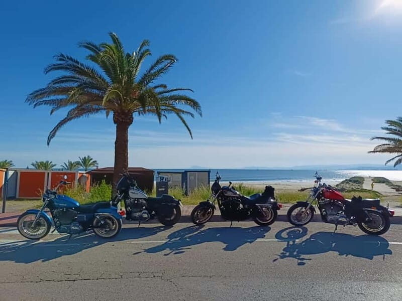 Guided Harley tours with lunch - Key Points