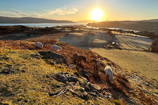 Guided Hebridean Farm Hike near Tobermory, Isle of Mull, Scotland - FAQ