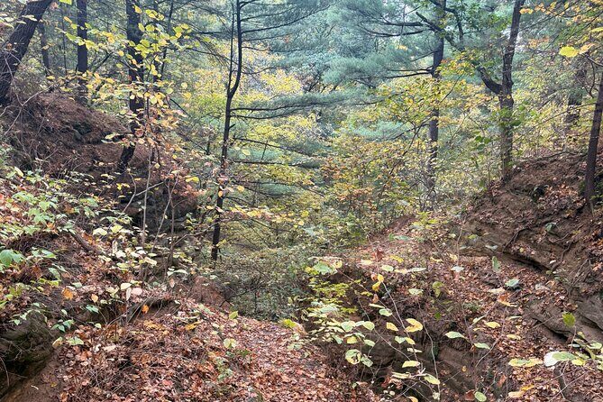 Guided Hike at Starved Rock and Matthiessen Park - Key Points