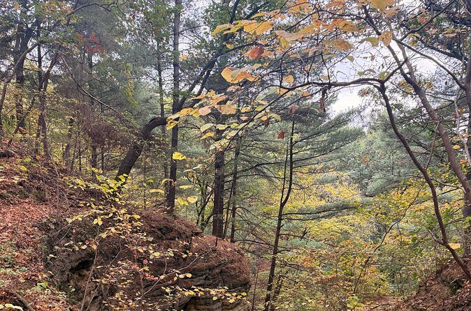 Guided Hike at Starved Rock and Matthiessen Park - Frequently Asked Questions
