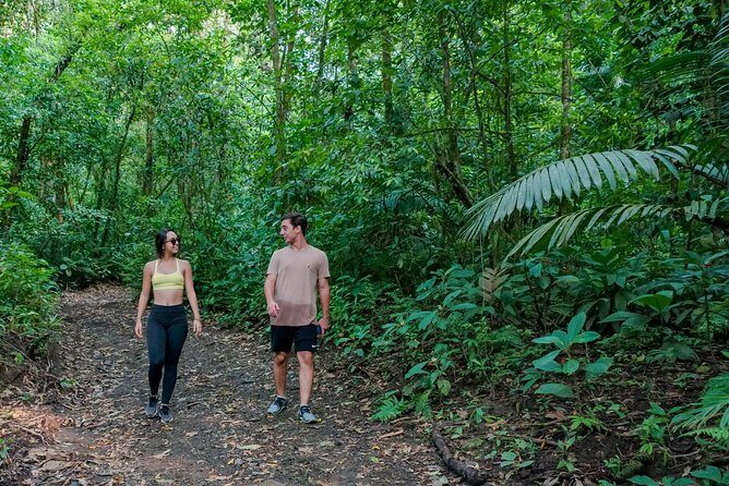 Guided hike in Arenal Volcano Ecological Park + Thermas - Exploring the Arenal Volcano Ecological Park + Thermals