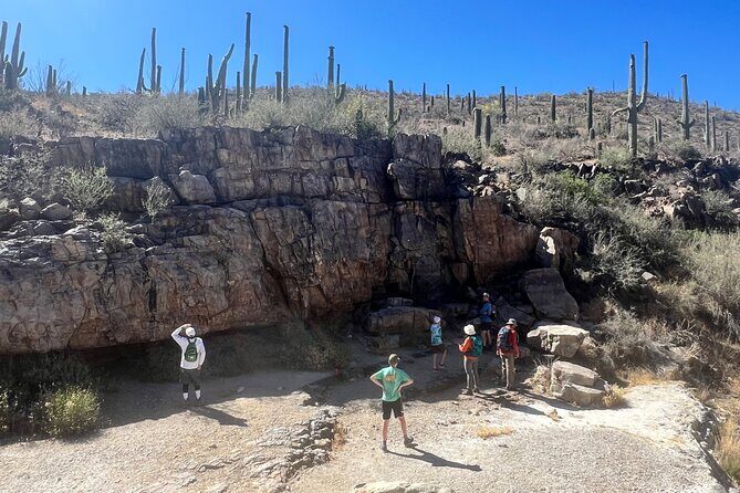 Guided Hike in the Sonoran Desert - Discover the Sonoran Desert: Guided Hike in Tucson