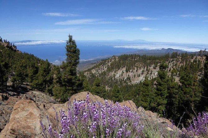 Guided Hike - The Tajinaste Trail - FAQ: Your Questions About the Tajinaste Trail Hike
