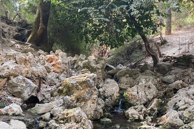 Guided hike to the seven springs from Archangelos - Why This Tour Works Well for You