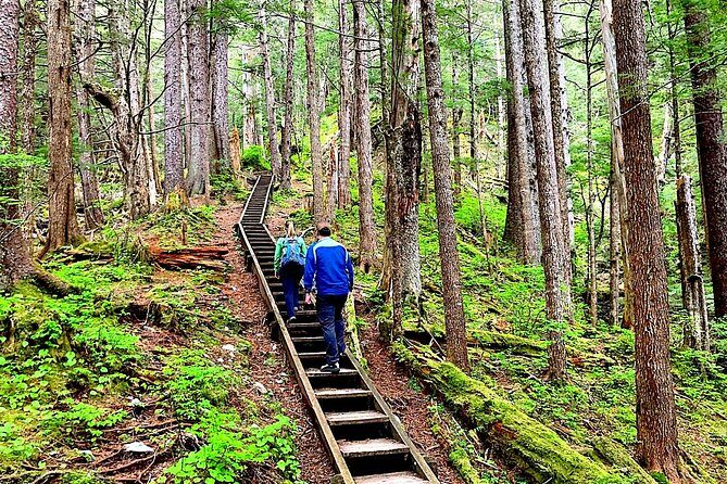 Guided Hike | TONGASS NATIONAL FOREST - Discover the Wilderness: Guided Hike in Tongass National Forest