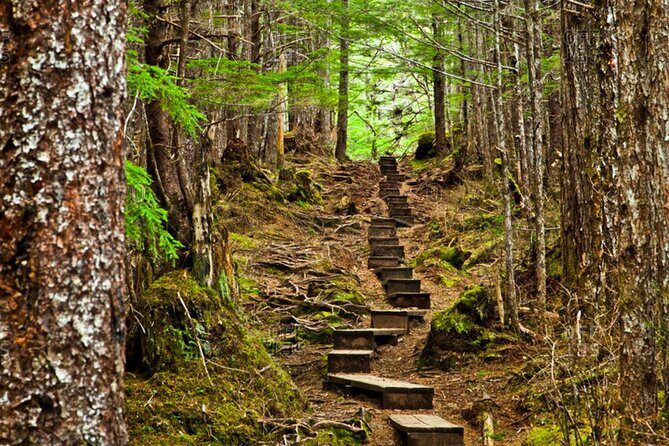 Guided Hike | TONGASS NATIONAL FOREST - The Sum Up
