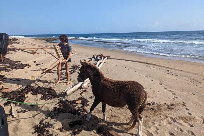 Guided Hike with Miniature Donkeys to a Secluded Beach - Exploring Puerto Rico’s Hidden Treasure: A Guided Hike with Miniature Donkeys to a Secluded Beach