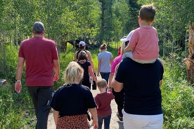 Guided Hiking Adventure in Yellowstone with Lunch - Key Points