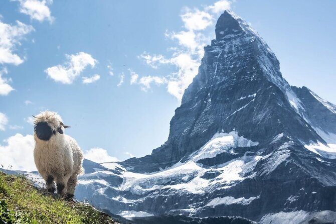 Guided Hiking Full Day in Zermatt - A Detailed Look at the Guided Hiking Full Day in Zermatt