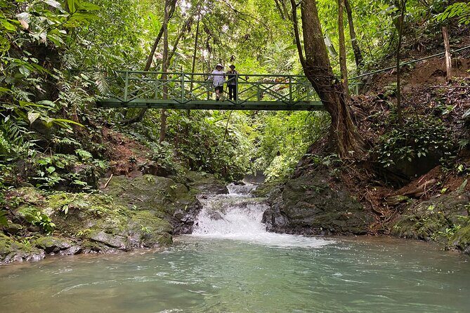 Guided hiking Tour by the Mystic Ebano Rainforest in Costa Rica - Final Word