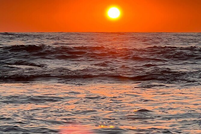 Guided Historic La Jolla Village Walking Tour - FAQ