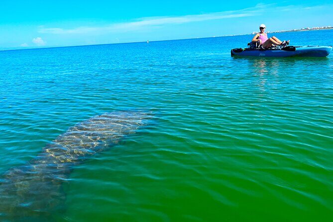 Guided Hobie Kayak EcoTour: Premium Eco Experience Bonita Springs - Get set for a relaxing yet adventure-packed kayak trip around Bonita Springs