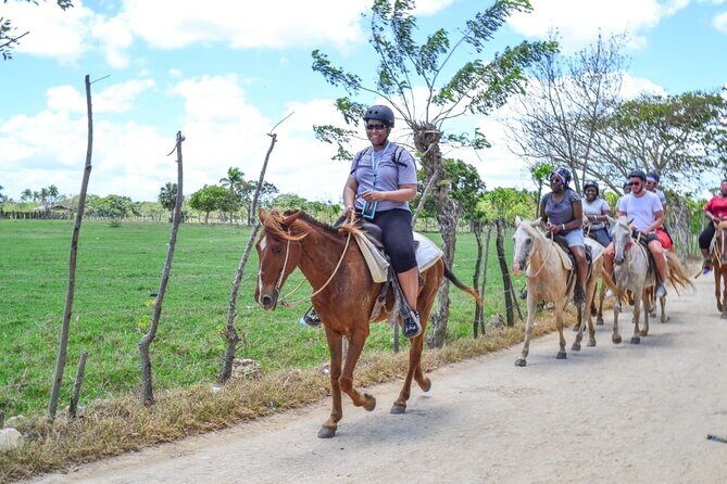 Guided Horseback Ride On The Beach With Pickup From Punta Cana - Detailed Review of the Guided Horseback Ride on Punta Cana’s Beach