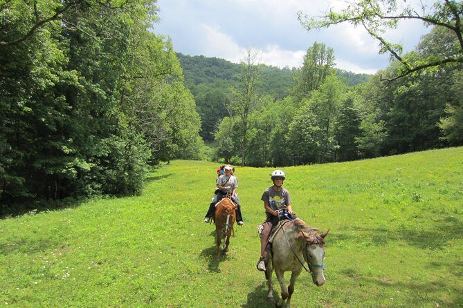 Guided Horseback Ride through Flame Azalea and Fern Forest - An In-Depth Look at the Blue Ridge Horseback Ride